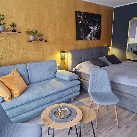 Apartment Am Bocksberg II Гослар Екстериор снимка