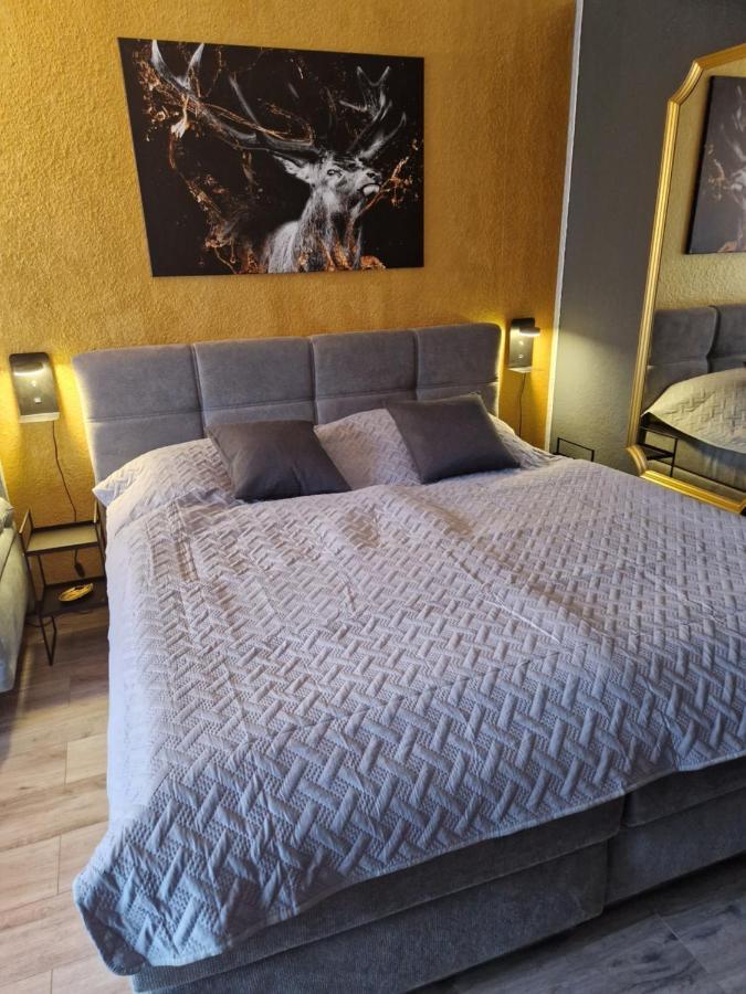 Apartment Am Bocksberg II Гослар Екстериор снимка
